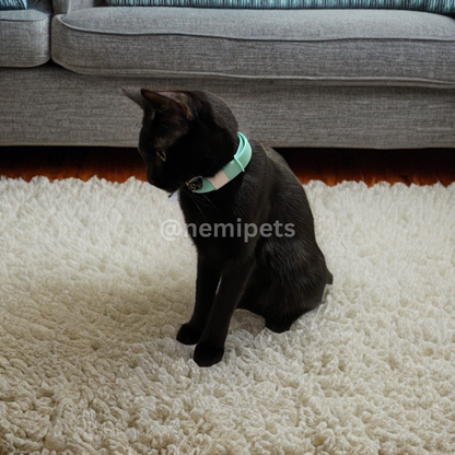 NemiPets™ Interactive Laser Collar