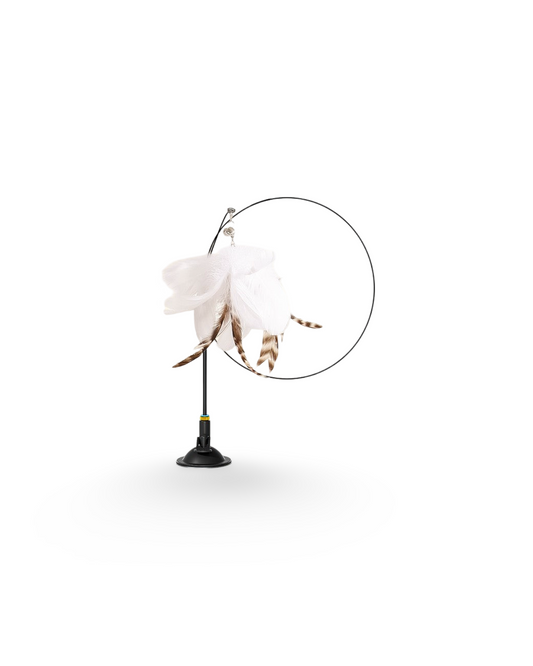 Interactive Feather/Bird Stand