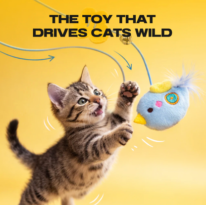 THE VIRAL AUTOMATIC YO-YO TOY THAT DRIVES CATS WILD